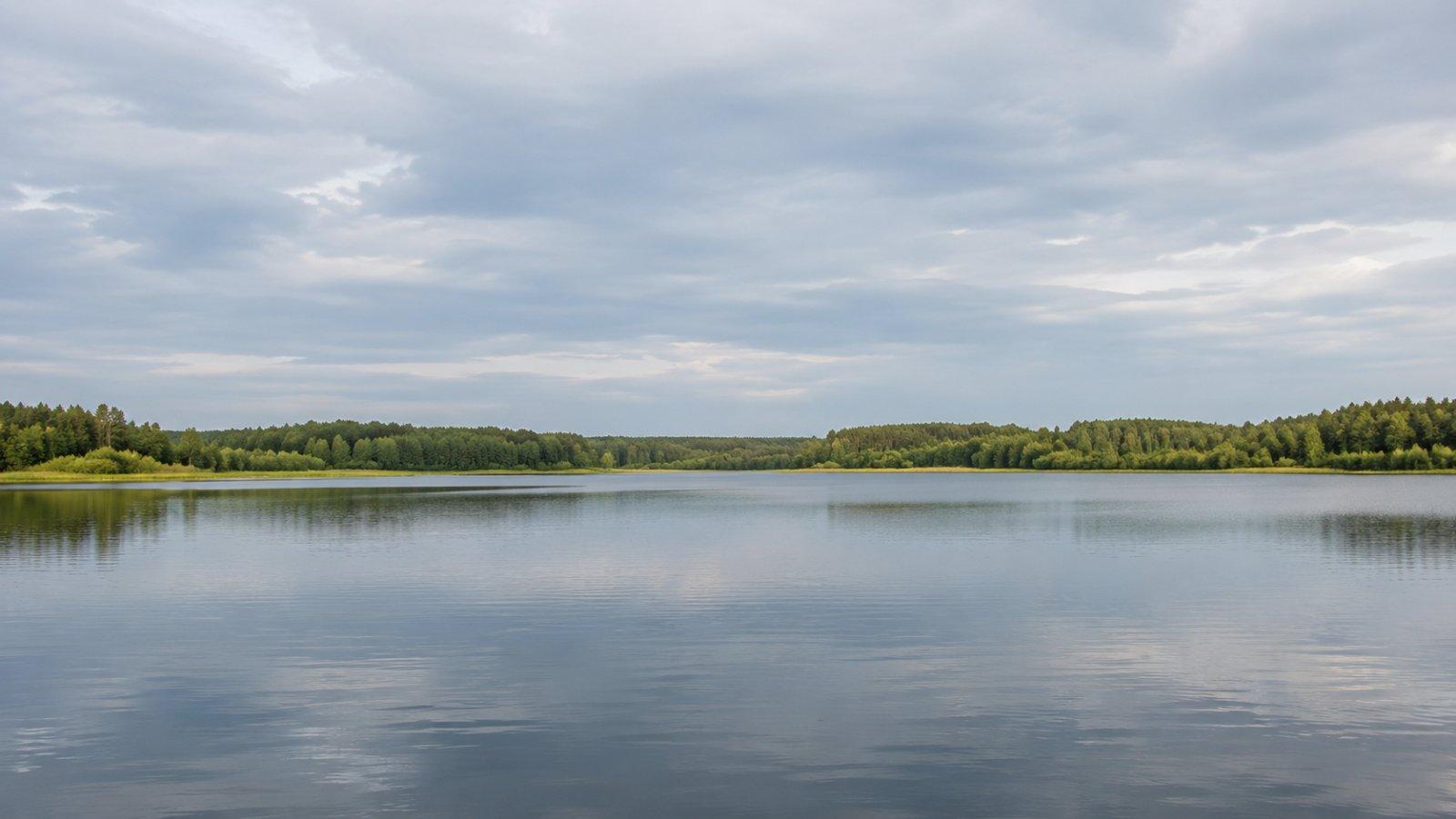 Спокойная прозрачная вода Можайского водохранилища у лесистого берега