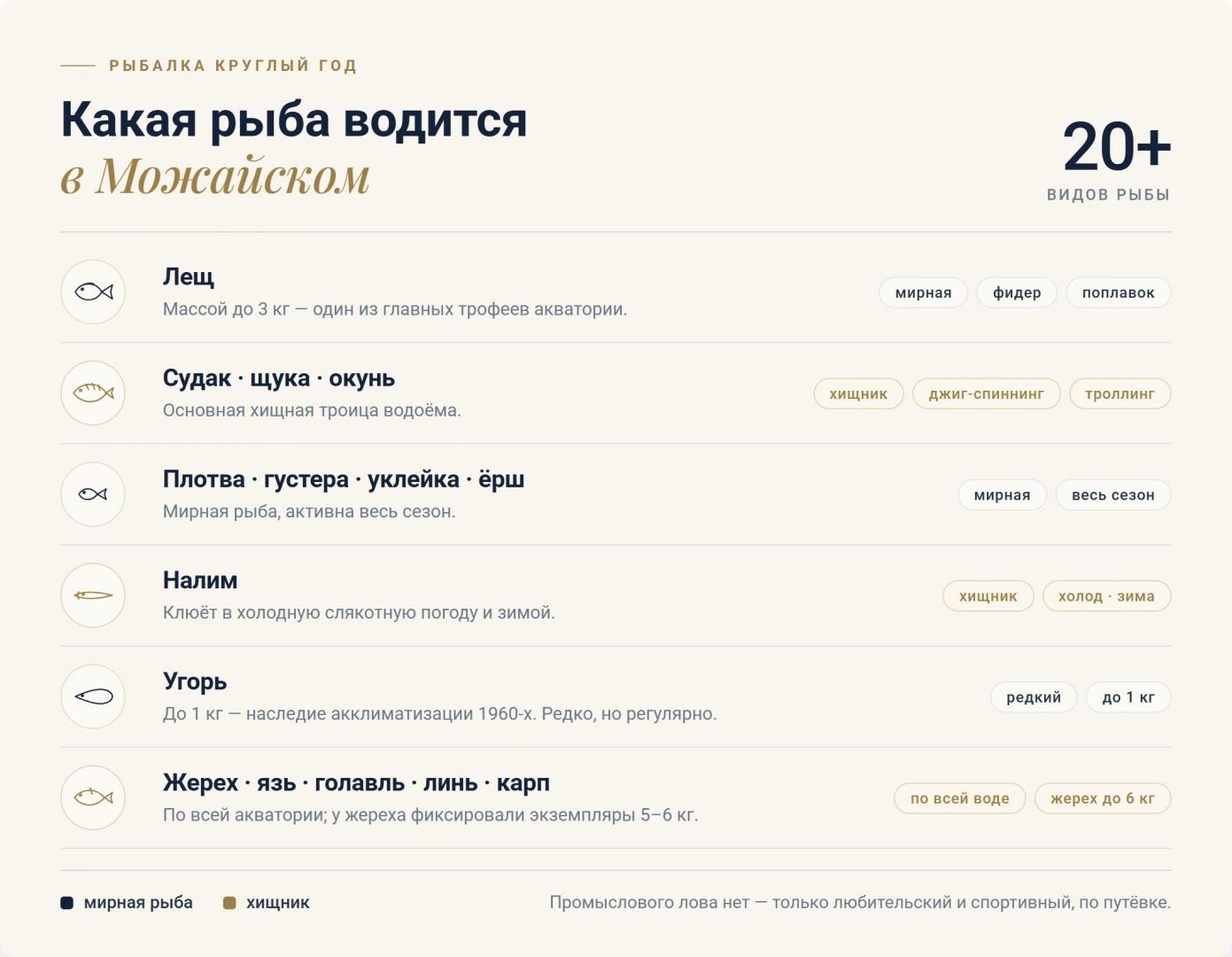 Какая рыба водится в Можайском водохранилище — лещ, судак, щука, окунь, налим, угорь, жерех