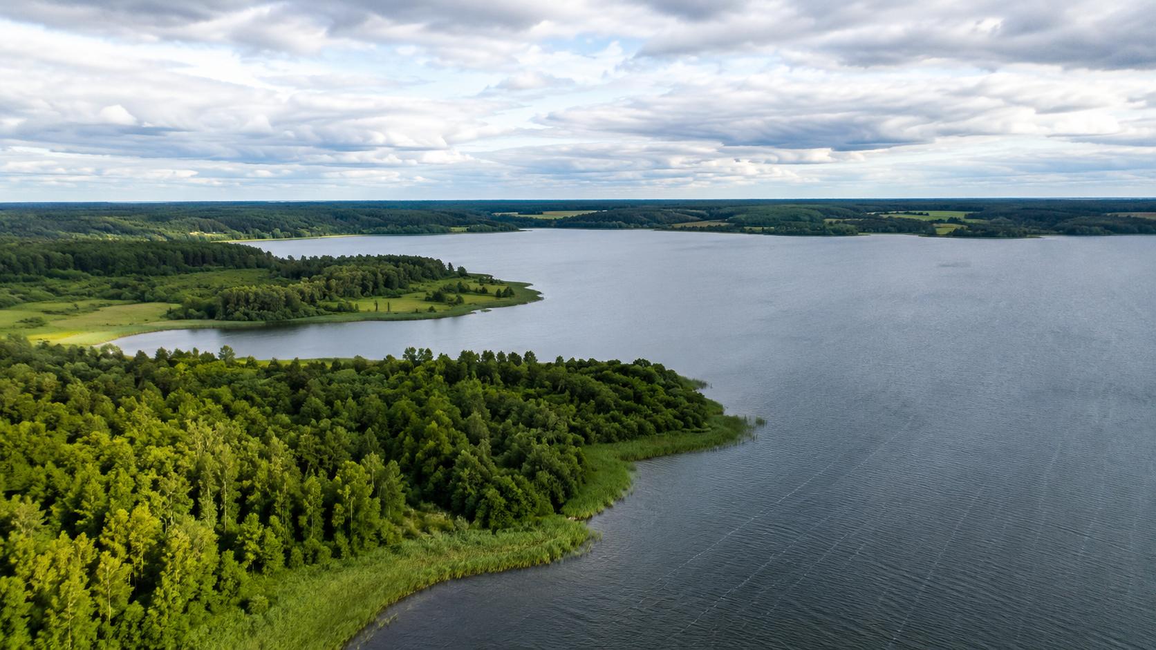 Широкая акватория и лесистые берега, характерные для Можайского водохранилища и западного Подмосковья