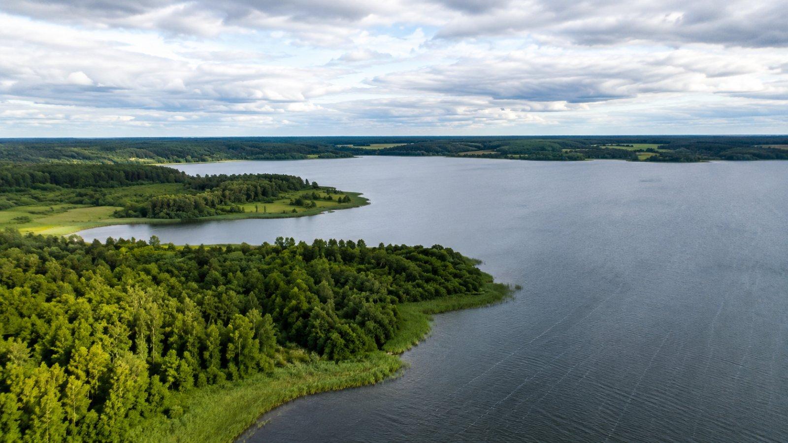 Можайское водохранилище: чистая вода в окружении лесов водоохранной зоны — вид с высоты